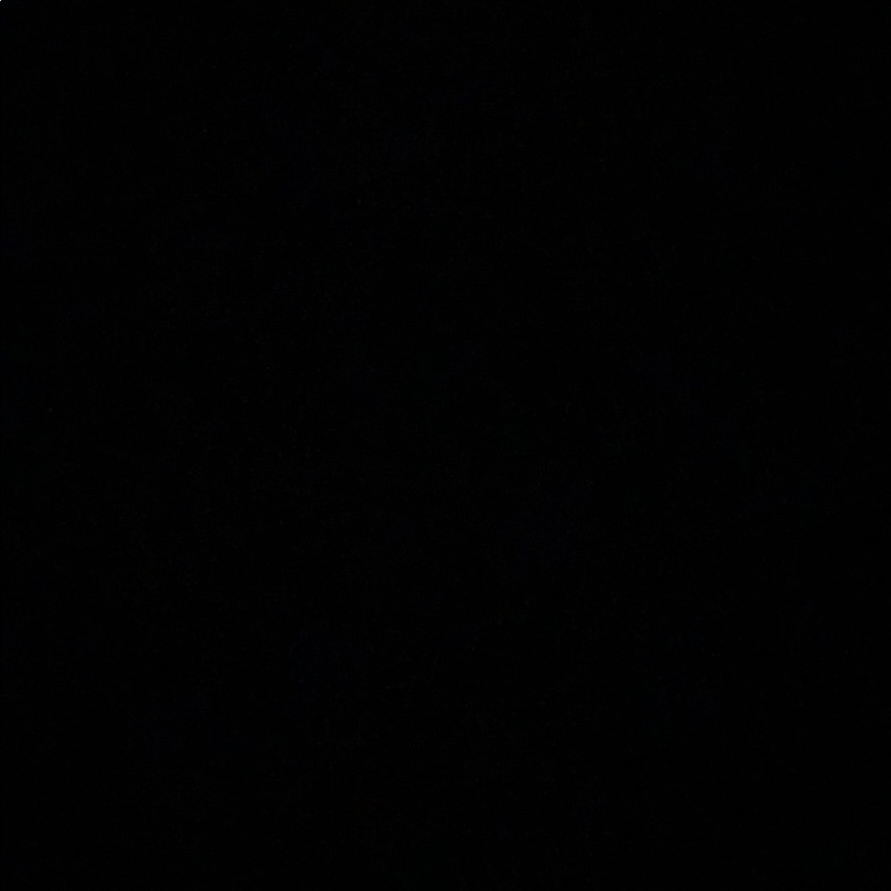 Meet your Posher, Kira